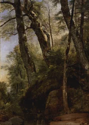Czarne brzozy, Catskill Mountains, 1860